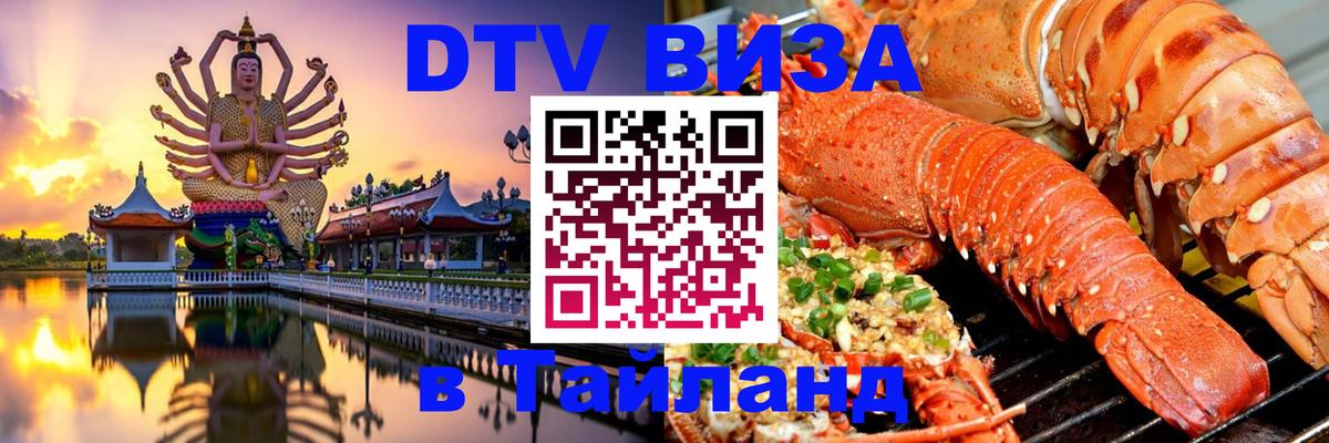 Сколько стоит DTV виза — актуальные цены, оформление даже без документов - Бийск 